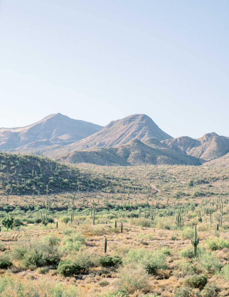 COVID Arizona Desert Elopement - Tasha Brady Photography